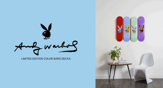 Color Bars Andy Warhol x Playboy Skateboards