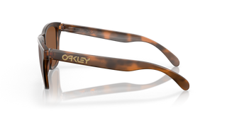 Oakley Frogskins (Matte Brown Tortoise) Prizm Tungsten Sunglasses
