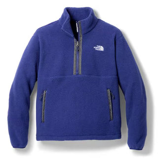 The North Face Mens Fleeski 1/4 Zip Pullover (Bold Blue)