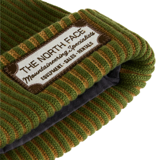 The North Face Salty Lined Beanie (woodland green)