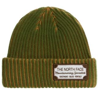 The North Face Salty Lined Beanie (woodland green)