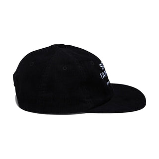 Sci-Fi Fantasy Pegasus Hat (Black)