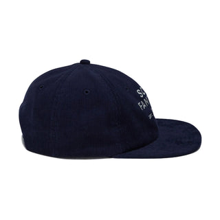 Sci-Fi Fantasy Pegasus Hat (Navy)