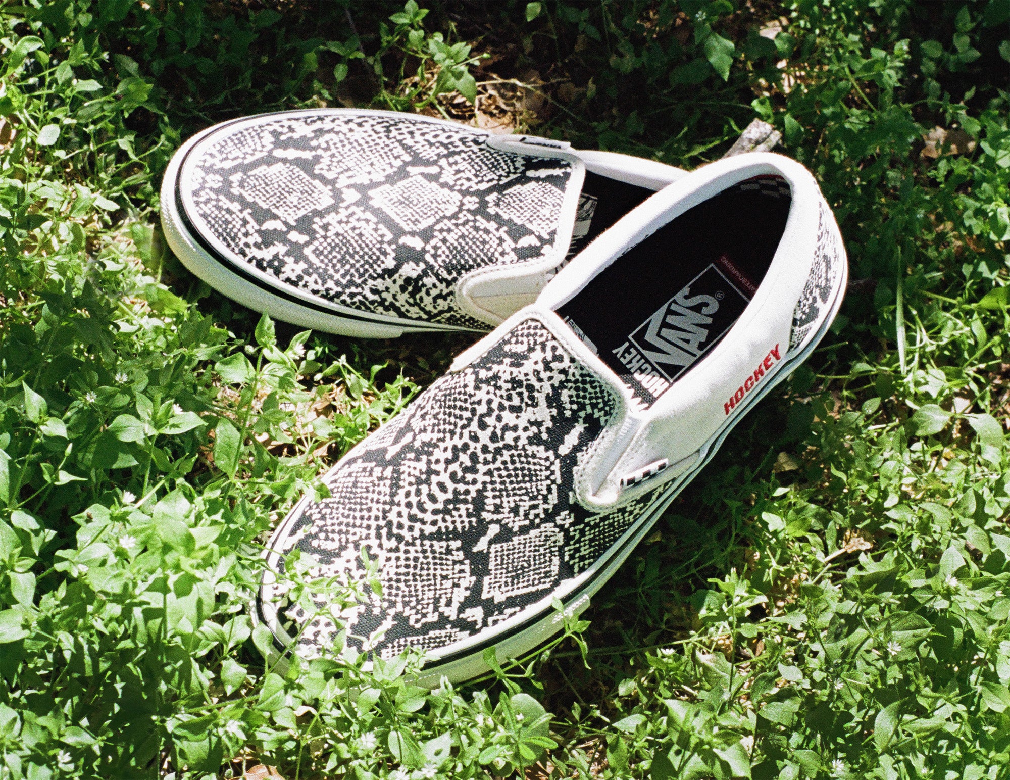 HOT Snake Skin Snake Vans Slip On Vans Skate Snakeskin Vans