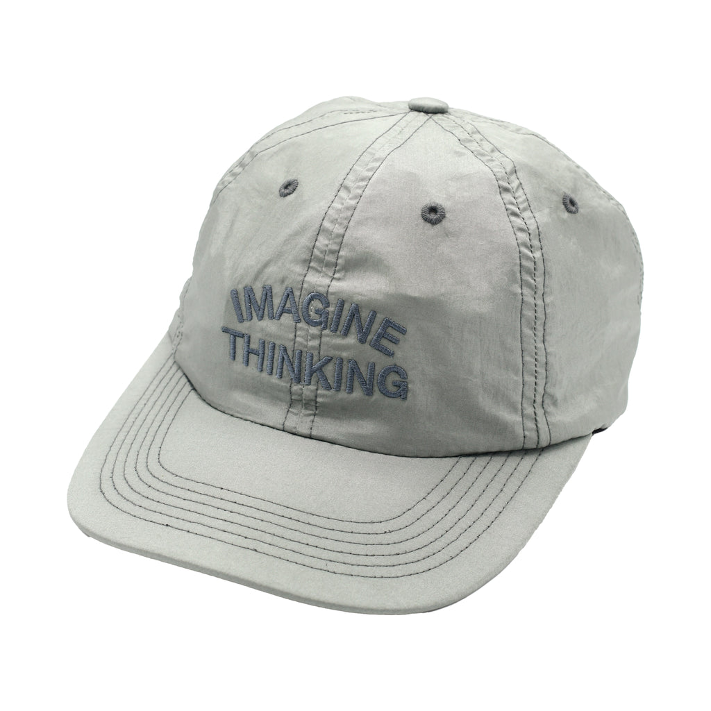 Quasi Imagine Hat (Silver) – Shredz Skateboard Shop
