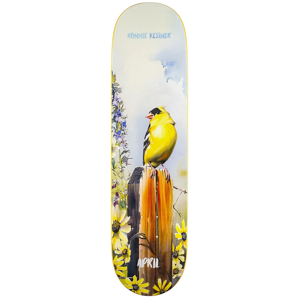 April Ronnie Kessner Gold Finch Deck (8.0) – Shredz Skateboard Shop