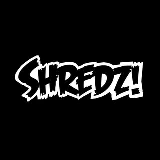 The Entire History Of Skateboarding Shoes – Shredz Shop Skate