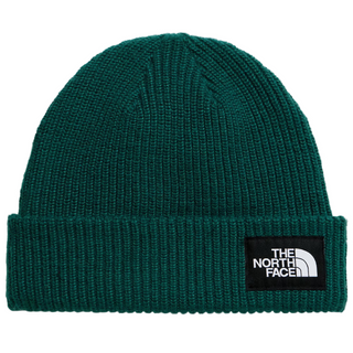 The North Face Salty Lined Beanie (pacific teal)