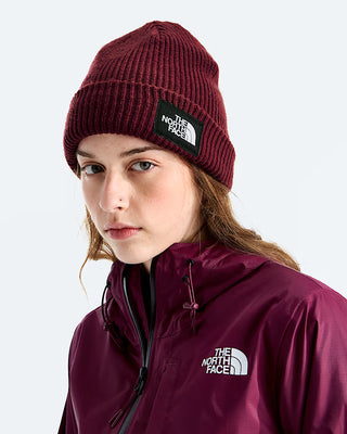 The North Face Salty Lined Beanie (burgundy)