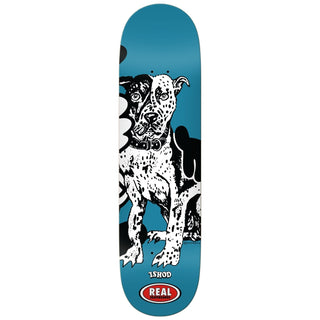 Real X Verdy Ishod Skateshop Day Deck (8.25)