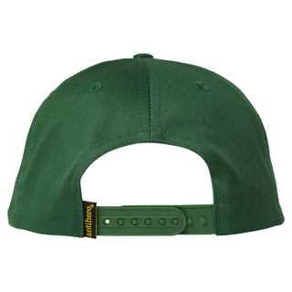 Anti Hero Clubhouse Snapback Hat (green/gold)