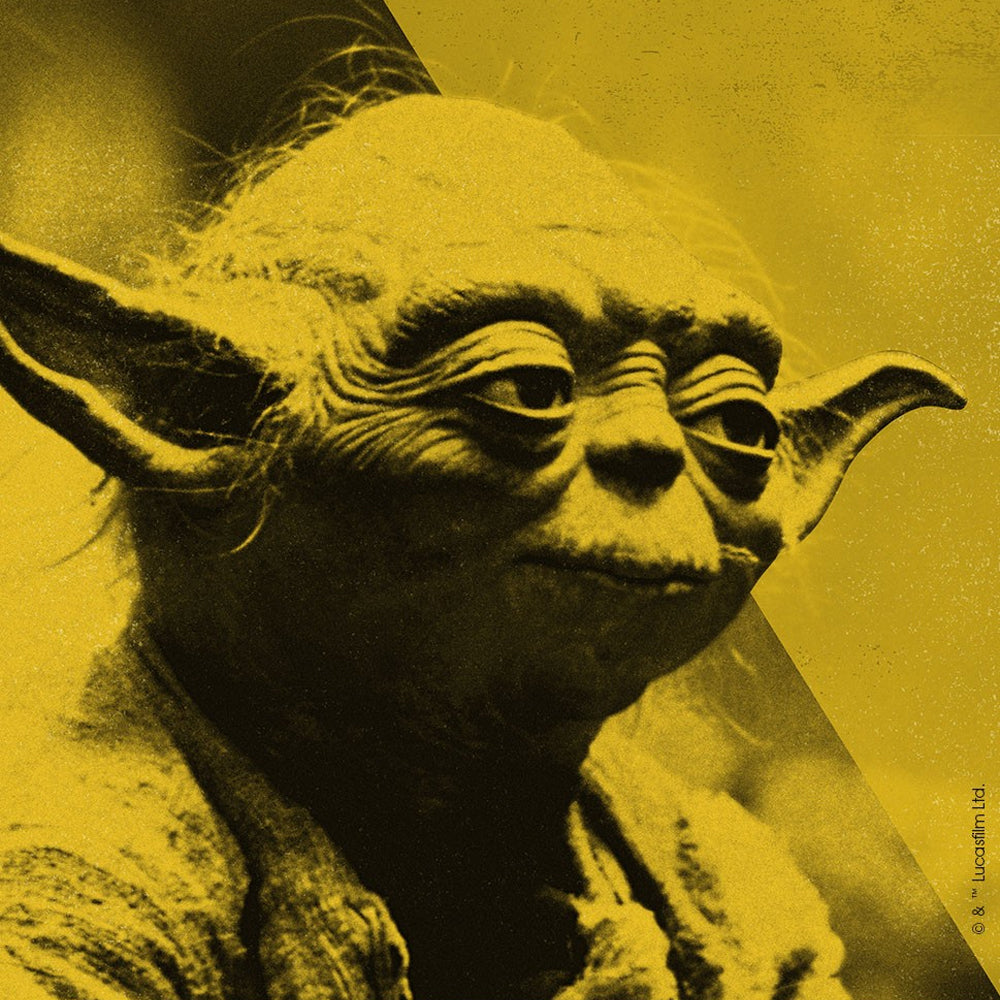 NEUF - SKATE Element - Star Wars Yoda - 8.0 - Sport & Plein air NEUF - SKATE Element - Star Wars Yoda - 8.0 - Sport & Plein air