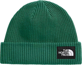 The North Face Salty Lined Beanie (Evergreen)
