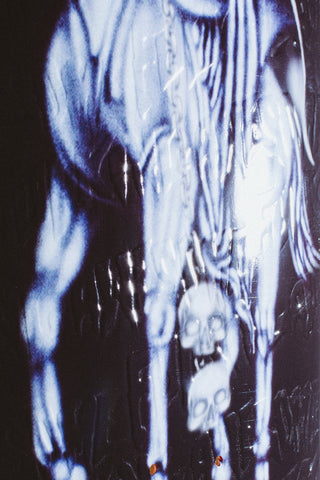 Fucking Awesome Elijah Muerte Deck (8.5)