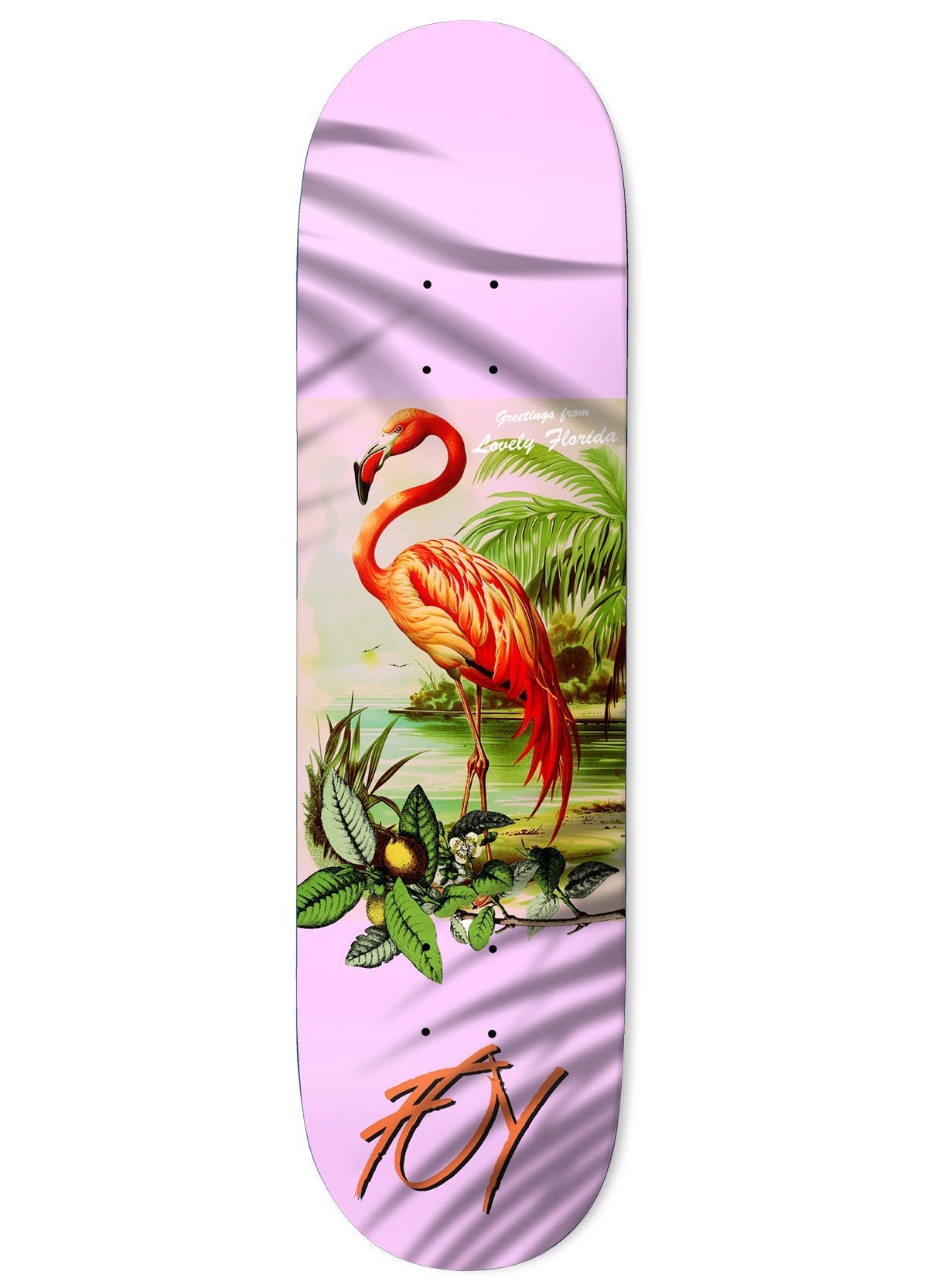 DECKS – Page 3 – Shredz Shop Skate