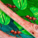 Snack Leafcutter Deck (8.25)