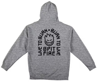 Spitfire Kids LTB Arch II Zip Hoodie (Grey Heather/Black)