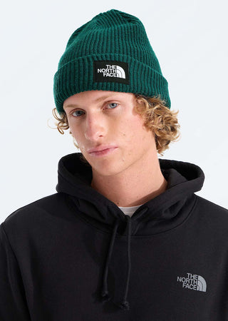The North Face Salty Lined Beanie (pacific teal)