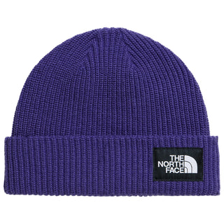 The North Face Salty Lined Beanie (peak purple)