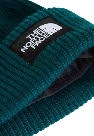 The North Face Salty Lined Beanie (pacific teal)
