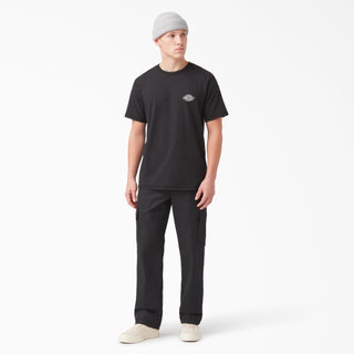 Dickies Back Logo T-Shirt (black)